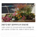 꽃차마이스터양성과정 | 달서50플러스센터, 꽃차마이스터 강좌