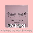 [속눈썹 연장] 시흥 대야역 야무진 손길의 “멜리 래쉬”