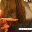 제이스준우 이미지