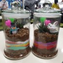 두호초등학교 이미지