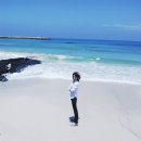 공인중개사사무소아지트 이미지