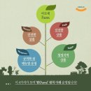 아모제푸드 Daum카페