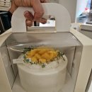파티세리라피네