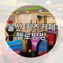 헬로방방뉴코아아울렛 이미지