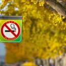 01-49 동구 이미지