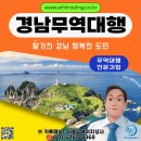 대구원예상사 이미지