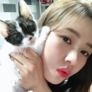 인형의집 이미지