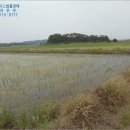 당진 석문면 충남 네이버블로그