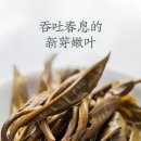 청효 이미지