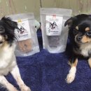 뚱띠레이 | 4둥이 뚱띠레이 수제간식 스테이크 후기