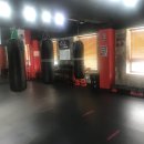 챔프복싱짐 이미지