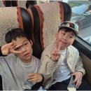 포올 태권도 운동발달 센터 | 아이들의 건강과 성장, 강북구태권도 수업에서 시작하는 특별한 변화