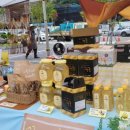 새마실 스튜디오 이미지