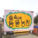 복순농장 | 평창여행 숲속에동물농장 아이랑 가볼만한곳