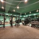 테라피티 이미지