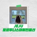 스테이인숲 네이버블로그