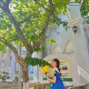 성당시장(1) | 다낭 투어 자유여행 일정 한시장·핑크성당 후기 피크타임 혜택