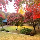 낙성대공원 이미지