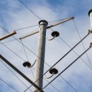 맛있는 동화요리 이미지