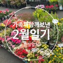 시립백암어린이집 실외놀이터 | 가족과 함께보낸 2월일기