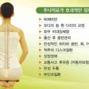 천안 척추교정 추나요법 - 신부동 나래한의원 - 바른자세클리닉 이미지