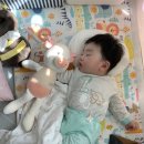 인형의 거리(돼지) 이미지