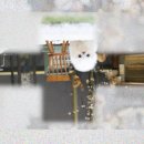 구리동물보호센터 이미지