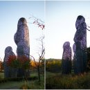 화랑유원지_경기도미술관주변 이미지