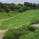 파크골프장 이미지