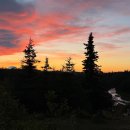 Road Trip Alaska 이미지