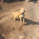 지후농장 이미지