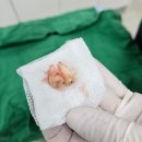 턱편한사랑니치과의원 이미지