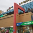 강구식자재마트 앞 네이버블로그
