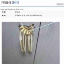 바나나 보관법. 이미지