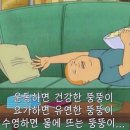 디짐(D-gYm) 이미지