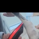 w고양이미용센터,호텔 이미지