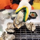 천수만굴구이 | 보령 천북굴단지 굴맛집 추천｜가보세굴수산 굴구이 굴찜 솔직후기