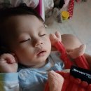 황지떡볶이 이미지