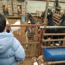 선후농장 이미지