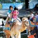 삼생1리 이미지