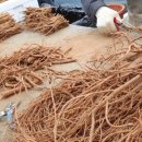 사철농장 이미지