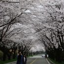 아름답개 이미지