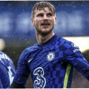 낙동강오리알 이미지