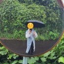 제주 올레길 17코스 | [제주도] 제주공항 인근 해변 따라 광령1리 - 관덕정의 제주올레길 17코스 후기