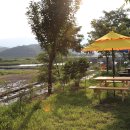 수목화 송정마을 오토캠핑장 이미지