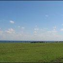 올레목장 이미지