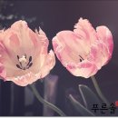 푸른봄공인중개사사무소 이미지