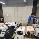 산책 | 동두천 유기견 봉사, 대형견 산책 후기