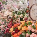 힐링 플라워 꽃꽂이 이미지