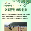 도그아일랜드 이미지